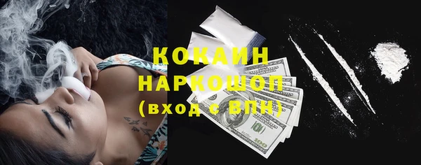 стаф Верея