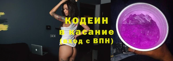 стаф Верея