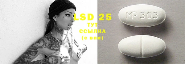 стаф Верея