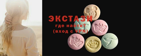 стаф Верея