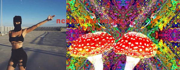 СК Володарск