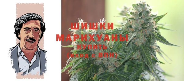 стаф Верея