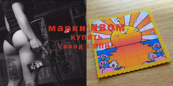 стаф Верея