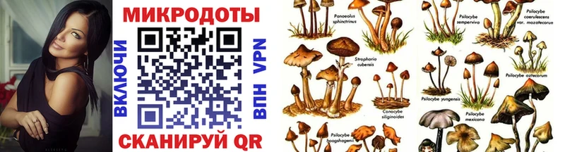 Псилоцибиновые грибы Magic Shrooms Рыбинск